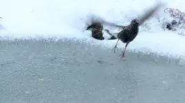 Take off.webp