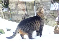 image004.webp