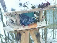 DSCF0885 (2).webp