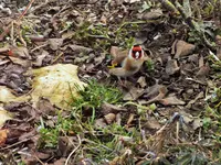 DSCF0830 (2).webp