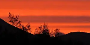 IMG_6393v (2).webp