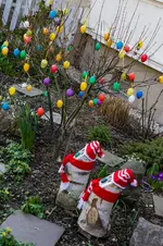 2016-03-09a-7645.jpg