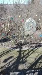 IMG_20180318_134159.jpg
