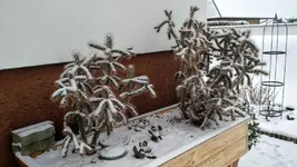 IMG_20180318_072549530 (1).png