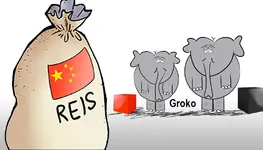 groko.webp groko.webp