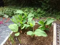 image001.webp