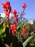 image002.webp