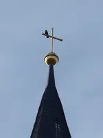 P1010976.jpg