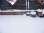 Schnee 19.3..jpg