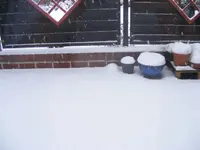 Schnee 19.3..webp