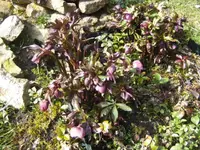 BILD9008.webp