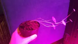 20180320_185031.webp