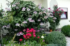 2016_07233april20160051.webp
