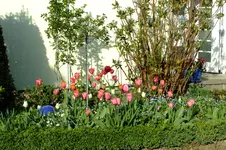 DSCF2691.webp