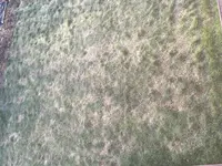 E560CA29-BA1F-4D3A-B31A-3ED55E7B1139.webp