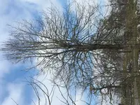 F68B5795-26AB-40E3-AAF7-37065FBD72F6.jpg