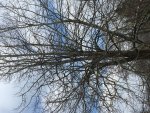 B76B47A0-F3BA-4346-BE69-59C42F8F5B21.jpg