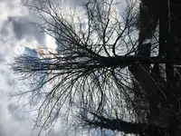 DD646214-DCDE-47D1-A07A-C0CF3E644CF1.jpg