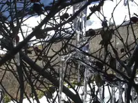 BILD9043.webp