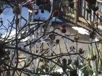 BILD9041.webp