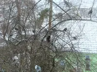 image003.webp