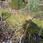 20180321_155249.webp