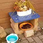 20180321_165509.webp