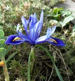 SAM_9257.webp