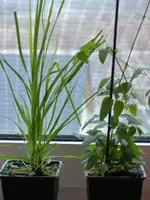 image002.webp