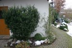 Eiben0408a.jpg
