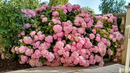 IMG_20170713_171203123_HDR.webp