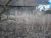 20180322_174712.jpg