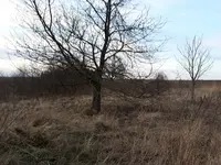 20180322_174735.webp