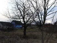 20180322_174815.webp