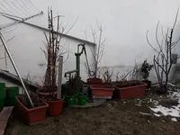 20180322_175248.webp