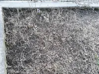 20180322_175302.webp
