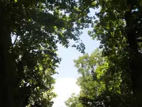 DSCI1656 (2).webp