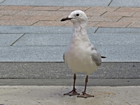IMG_6561 v (2).webp