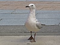 IMG_6560 v (2).webp