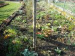 Garten 16.jpg