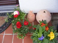 Haustür.webp