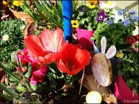 c028.webp