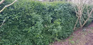 20180325_093906.jpg