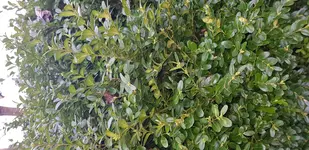 20180325_093912.jpg
