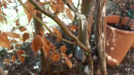 20180325_114202.webp