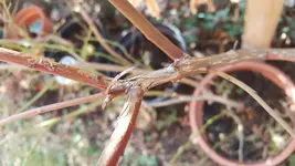 20180325_114339.webp