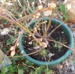 20180325_120802.webp