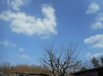 Garten Himmel.jpg