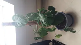 20180311_102020.webp