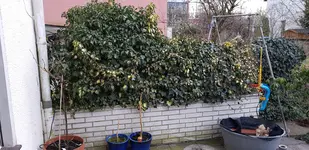 20180325_185625.webp